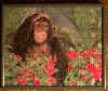monkey.jpg (92471 bytes)